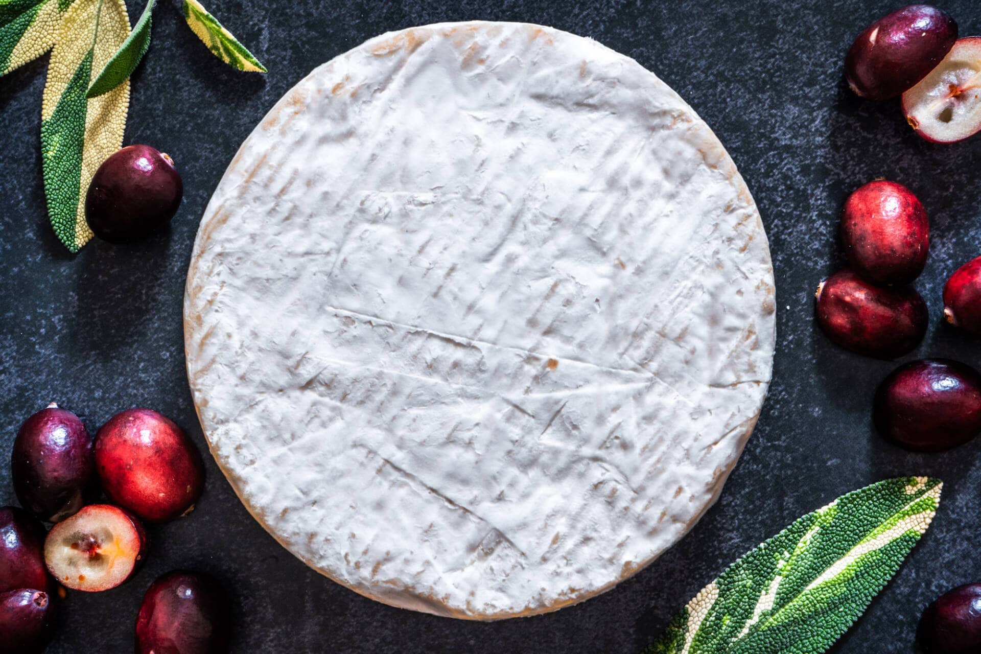 Fritz Kaiser RoubineNoyan